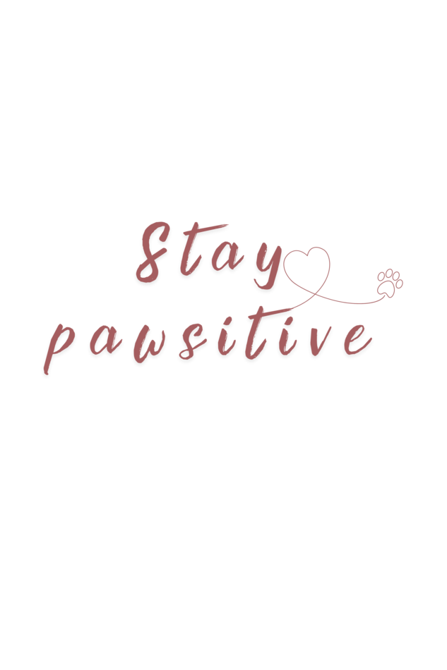 Stay Pawsitive Girls Graphic Printed T-Shirt