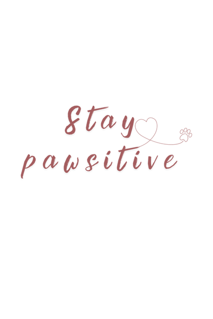 Stay Pawsitive Girls Graphic Printed T-Shirt