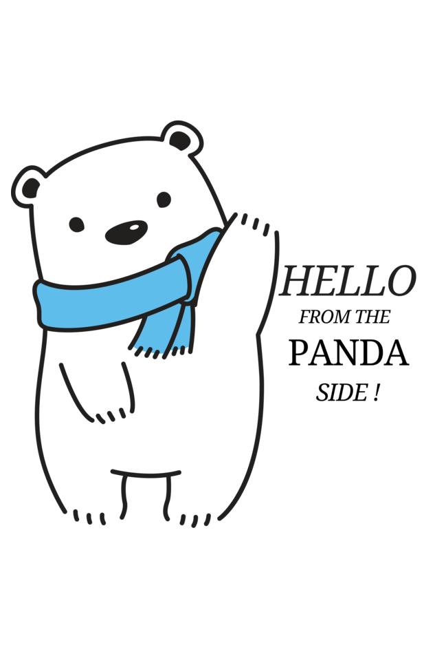 Hello from the Panda Side Girls Graphic Printed T-shirt